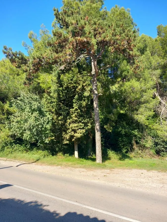 Apartmani Alma Pola Appartamento
