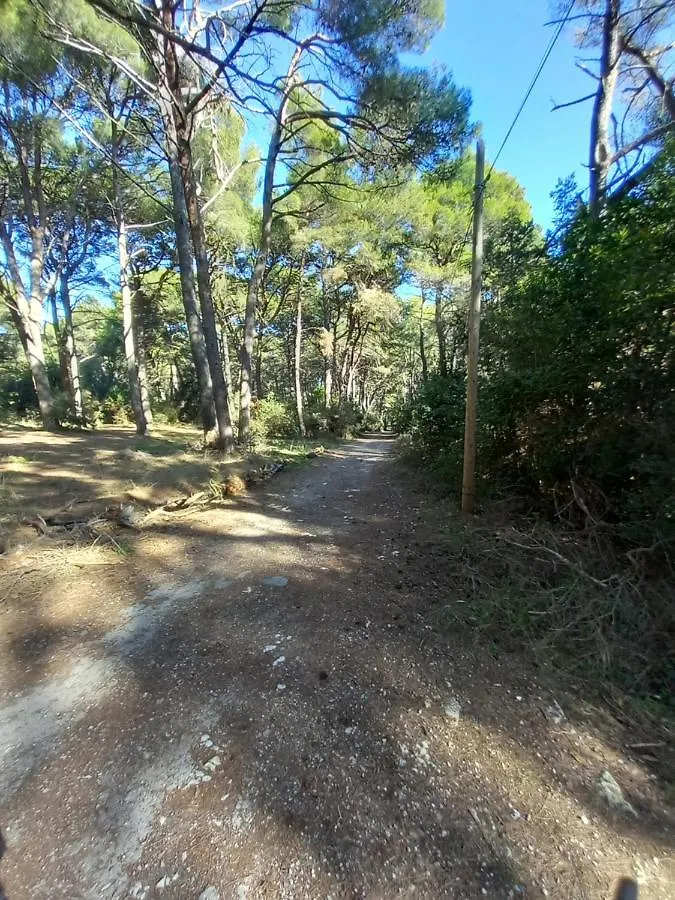 Apartmani Alma Pula
