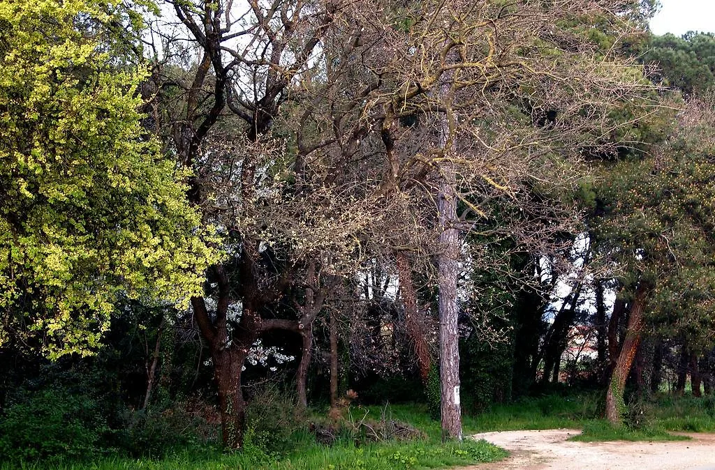 Appartamento Apartmani Alma Pola