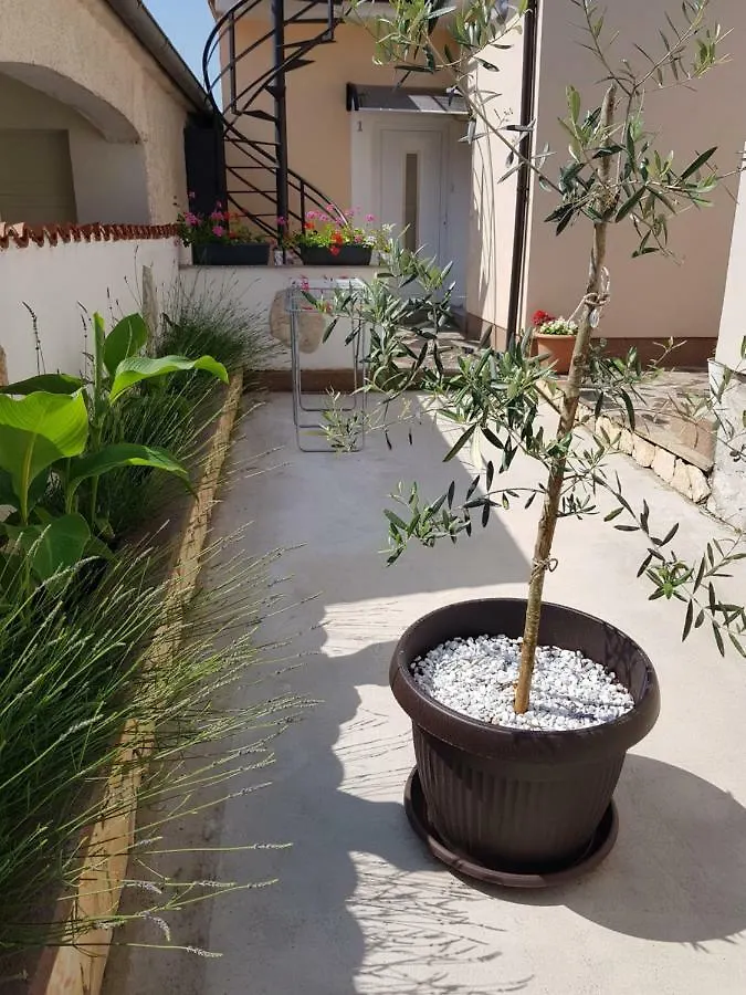 Apartmani Alma Пула 0*,  Хорватия